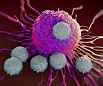 Insight into Tumor Immunology
