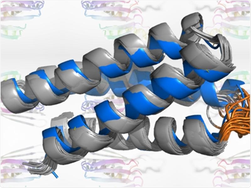 Study employs AI to make new, stable protein structures