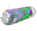 Highly optimized X-ray process delivers high-resolution 3D images of cells