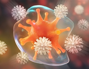 Study reveals mechanism by which infections strengthen the immune system