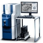 FlexSEM: A Compact, Flexible Scanning Electron Microscope