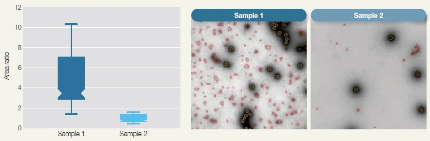 Automated Purity Analysis of Two Samples Using Morphology Classifi cation to Differentiate between Primary Particle and Debris.