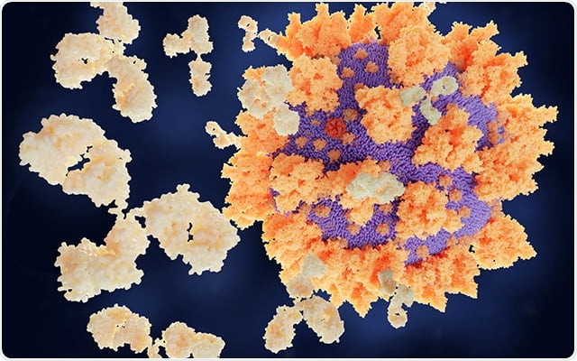 Genes could help determine the intensity of neutralizing antibodies to COVID-19 virus