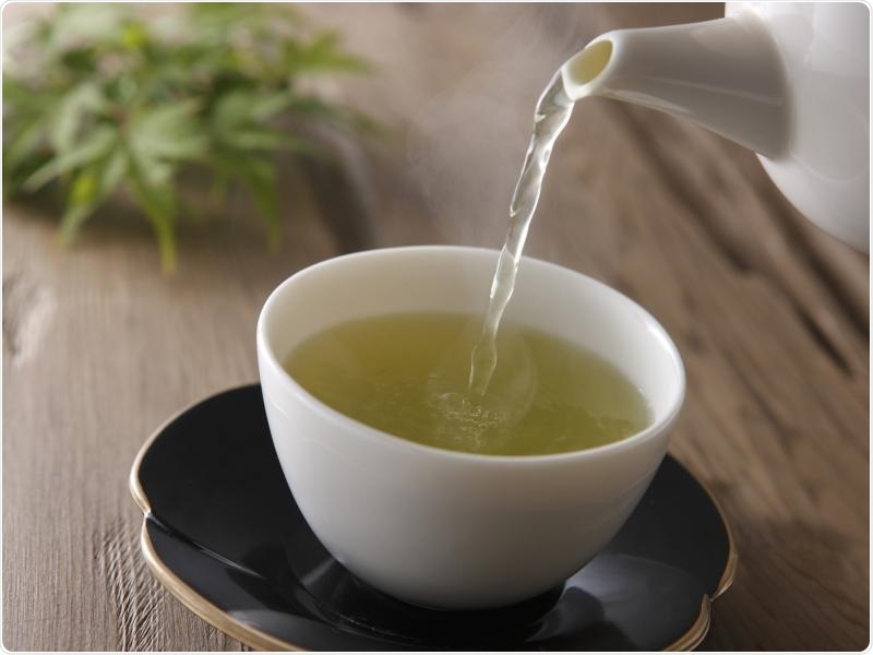 Antioxidant in green tea may lead to new anti-cancer drugs
