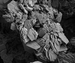 Electron Microscopy: An Overview