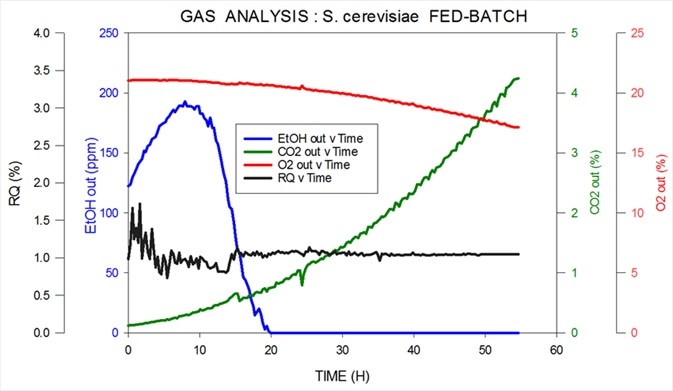 ff-gas and RQ data generated by MS from S. cerevisiae fed-batch fermentation.