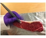 New handheld MasSpec Pen can identify meat and fish fraud within seconds