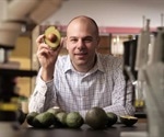 Study reveals a compound found in avocados helps in the treatment of leukemia