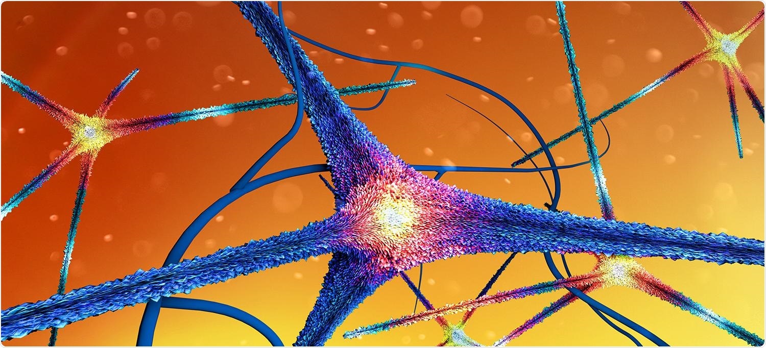 Dopamine-releasing brain cells shed light on Parkinson’s disease