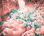 Study reveals the evolution of the human gut microbiota