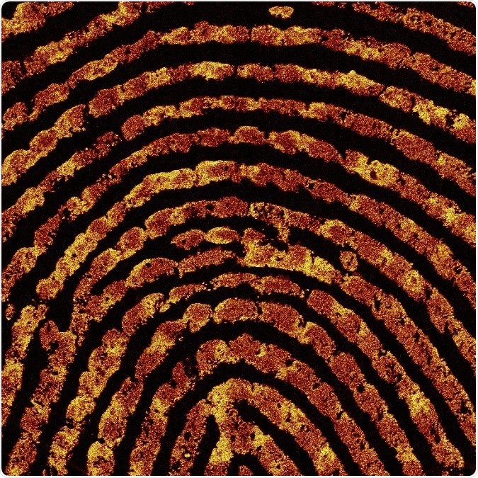 Single fingerprint can help determine whether someone has touched or ingested class A drugs