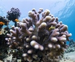 New atlas may support present and future conservation efforts to protect coral reefs
