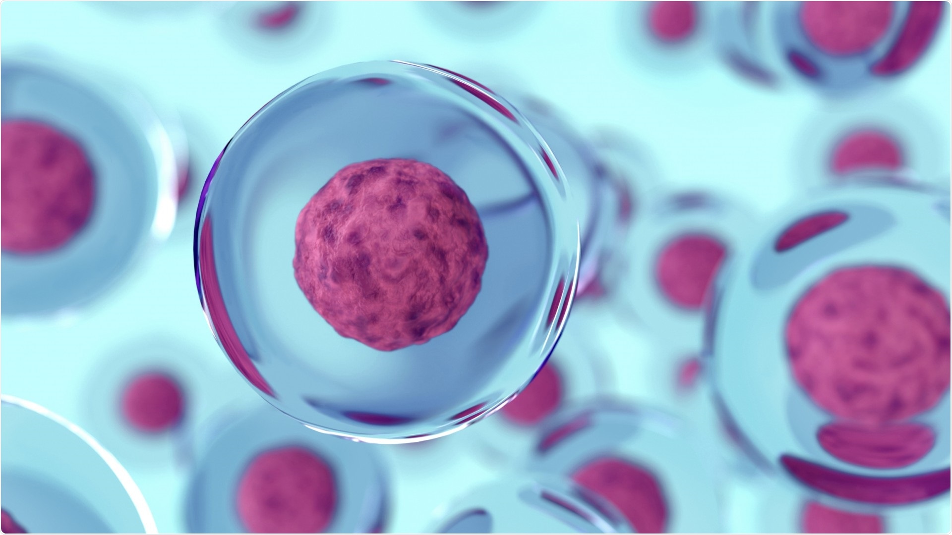 Study unravels a crucial element that influences gene expression in blood stem cells