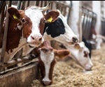 Many do not recognise animal agriculture's link to infectious diseases