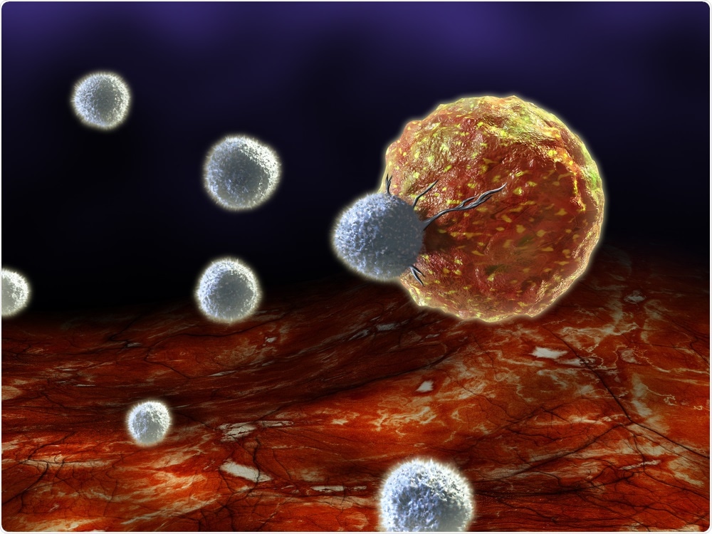 T Cells attacking cancer cell