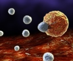 Immune system’s killer T cells make mistakes in distinguishing healthy from infectious cell