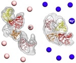 New method reveals high-resolution structure of biomolecules