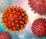 Scientists explore the human gut to combat SARS-CoV-2 virus