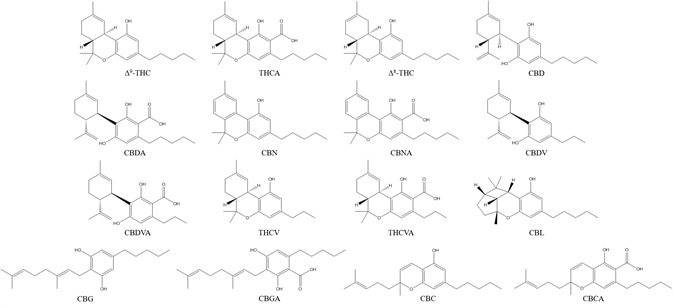 . Chemical structures of the sixteen cannabinoids analyzed in this study.