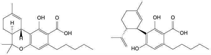Chemical structures of the two predominant cannabinoids THCA (left) and CBDA (right).