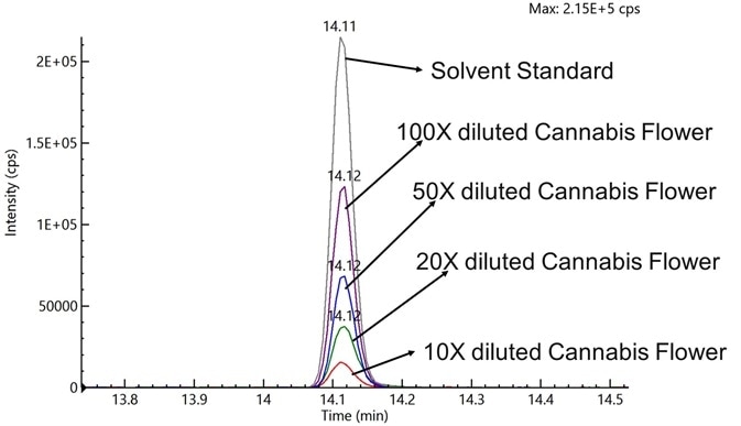 Chromatographic results for ion suppression at different dilution levels of cannabis flower spiked with 100 ppb of acequinocyl, and a solvent standard with 100 ppb acequinocyl.