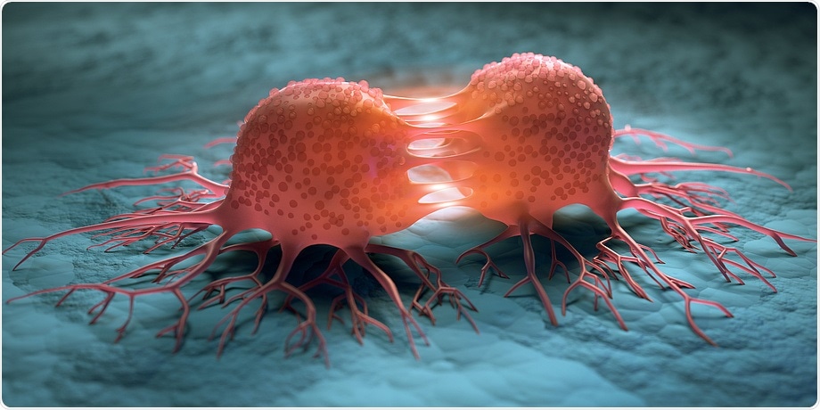 World’s first cancer cell model helps modern cancer research and drug development