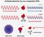 Rapid, more accurate test to detect antibodies against SARS-CoV-2 spike protein