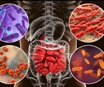 Study reveals the relationship between gut microbiome and neurodegenerative disorders
