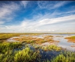 Wetlands constructed along waterways is most effective for reducing agricultural runoff