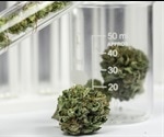 Role of Chromatography in Cannabis Analysis