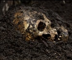 Effects of Soil on the Preservation of Bones