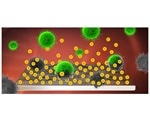 Graphene covered with bactericidal molecules inhibits harmful biofilm formation