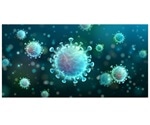 Virus-infected cells endure long-term changes, says study