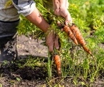 How can Soil Increase Food Production?