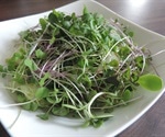 Microgreens can provide global nutrition security, study claims