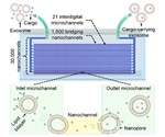 Novel nanofluidic device for exosome nanoporation