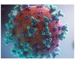 Study details replication and immune evasion of Delta SARS-CoV-2 variant