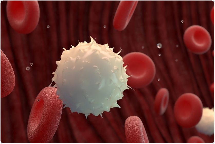 Hematopoietic stem cells play key focus of stem-cell-based medical research