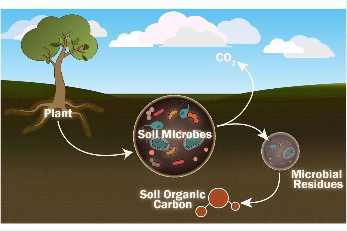 Study analyzes the role of individual soil microbes to predict climate change