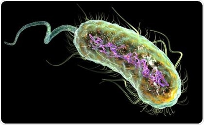Scientists discover “resistance gene” in harmful E. coli bacteria