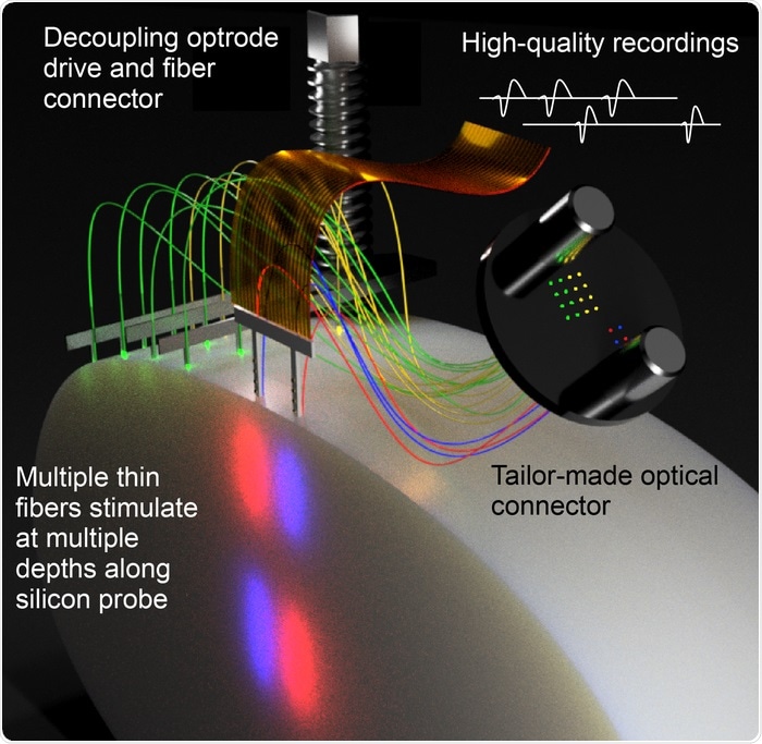 Novel method for controlled interrogation and recording of neuronal activity