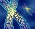 Recent study reveals the code involved in human gene regulation