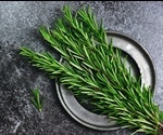 Research highlights how carnosic acid found in rosemary inhibits SARS-CoV-2 infection