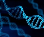 Researchers develop new method to detect the role of enigmatic gene sequences