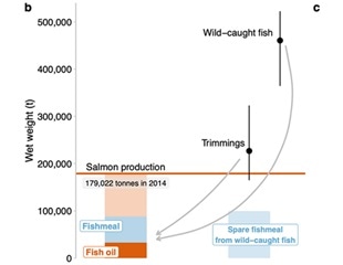 Researchers suggest a sustainable approach in seafood production