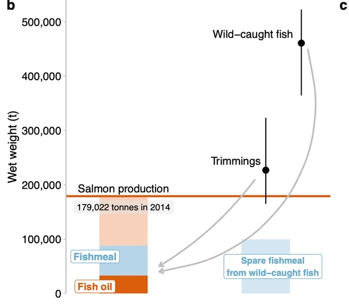 Researchers suggest a sustainable approach in seafood production