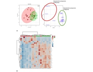 Researchers study how metabolomic assessment finds postmortem biomarkers indicating decedent’s diabetes mellitus history