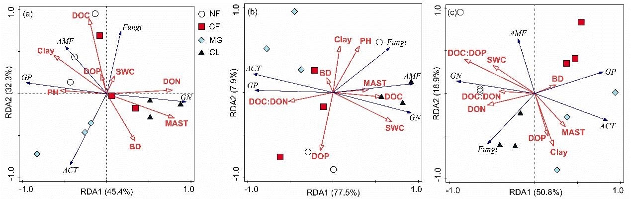 Researchers address the dynamics of soil microbial community structure and stoichiometry