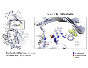 Researchers show how hotspot maps can detect structures contributing to compounds’ selectivity
