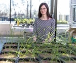 Research investigates the effect of land-use change on plant-soil interactions